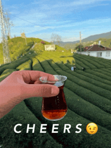 a person is holding a glass of tea with the words cheers written below it