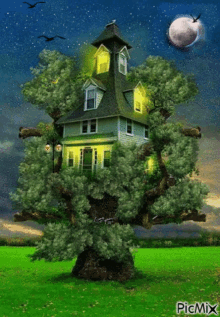 a picture of a house sitting on top of a tree with picmix written in the bottom right corner