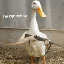 a duck with human hands is holding a gun in a cage .