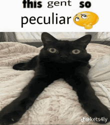 a black cat is laying on a bed next to a meme that says " this gent so peculiar "