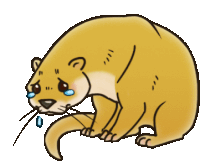 a cartoon drawing of an otter crying with tears running down its face