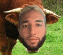 a man with a beard is standing next to a bull with a man 's head on it .