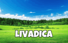 a green field with the word livadica in white letters