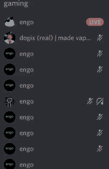 a screenshot of a discord server with the name engo on it