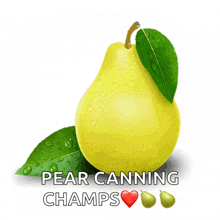 a yellow pear with green leaves and the words " pear canning champs "