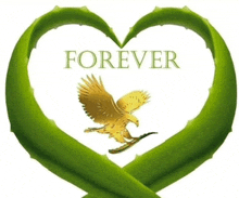 a heart made of aloe leaves with the word forever in the middle