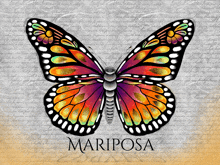 a colorful butterfly with the word mariposa written below it