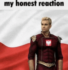 a man in a superhero costume with the polish flag on his chest is standing in front of a polish flag .