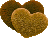 two brown heart shaped pillows on a white surface