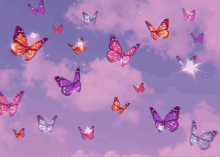 a bunch of butterflies flying in a pink sky