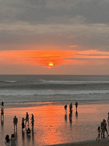 a group of people standing on a beach watching the sun set