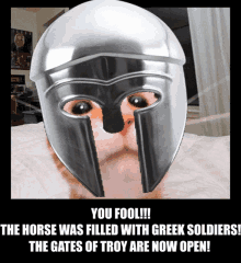 a cat wearing a helmet with the words " you fool !!! the horse was filled with greek soldiers ! "