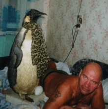 a man is laying on a bed next to a stuffed penguin wearing a leopard print scarf