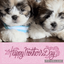 a mother 's day card with two puppies and the words happy mother 's day