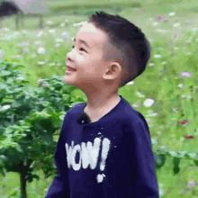 a young boy wearing a blue sweater with wow written on it is standing in a field of flowers .