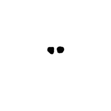 a pair of black dots on a white background