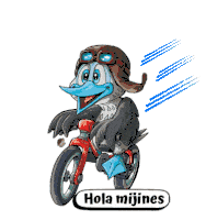 a cartoon bird wearing a helmet and goggles is riding a bike with the words hola mijines below him