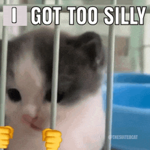 a cat in a cage with the words i got too silly above it