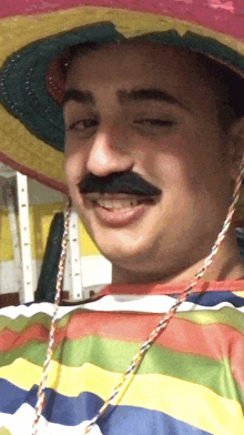 a man wearing a sombrero has a fake mustache on his face