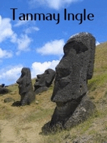 a statue in a field with the words tanmay ingle on the top