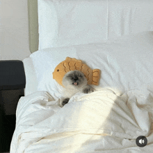 a cat laying on a bed with a fish pillow