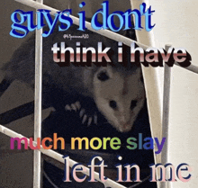 a picture of an opossum with the words " guys i don t think i have much more slay left in me "