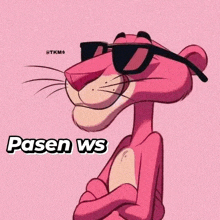 a pink panther wearing sunglasses and the word pasen ws