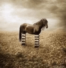 a horse with springs on its legs is standing on a field .