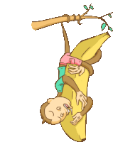 a monkey is hanging upside down from a tree branch holding a banana