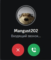 a picture of a dog with the name mangust202