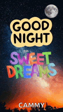 a poster that says good night and sweet dreams