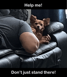 a man laying on a couch with a small dog laying on his arm