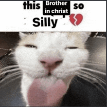 a picture of a cat with a broken heart and the words this brother so silly