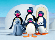 a group of penguins are posing for a picture