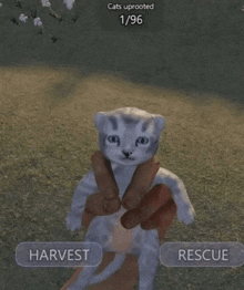 a person is holding a kitten in their hands with harvest and rescue buttons