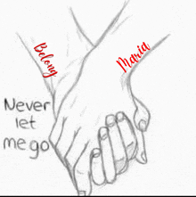 a drawing of a couple holding hands with the words " never let me go "