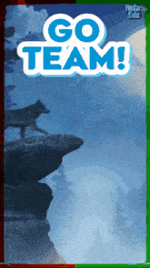 a picture of a wolf on a rock with the words go team below it