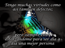 a picture of a butterfly with a quote in spanish