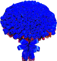 a bunch of blue roses with a blue ribbon around them