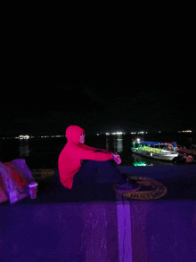 a person in a red hoodie sits on a ledge overlooking the water