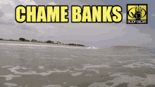 a body glove ad with a beach and the words chame banks