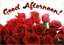 a bouquet of red roses with the words `` good afternoon '' written above it .