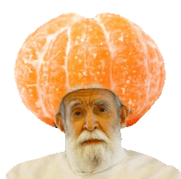 a man with a beard is wearing a hat made of an orange