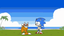 sonic the hedgehog and tails the fox are standing next to each other on a beach .