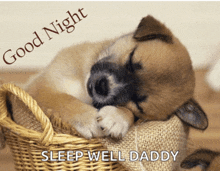 a puppy sleeping in a wicker basket with the words good night sleep well daddy below it