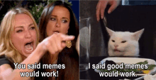 two women pointing at a cat that says " you said memes would work " and " i said good memes would work "