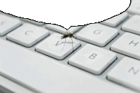 a mosquito is crawling on a white keyboard between the g and h keys