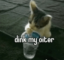 a kitten is drinking water from a plastic cup and saying `` dink my oiter '' .