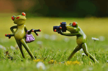 a frog taking a picture of another frog in the grass