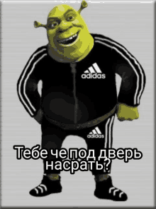 shrek is wearing a black adidas jacket